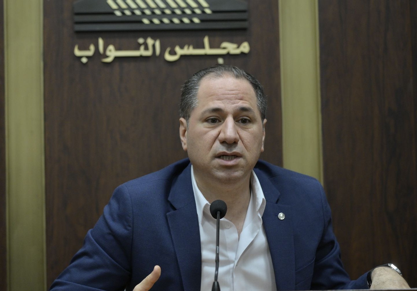 تسجيل ملاحظتين على جدول أعمال اللجان المشتركة: لمناقشة كل إقتراحات قوانين الانتخاب ضمن لجنة فرعية ومجلس الشيوخ من ضمن ورشة دستورية